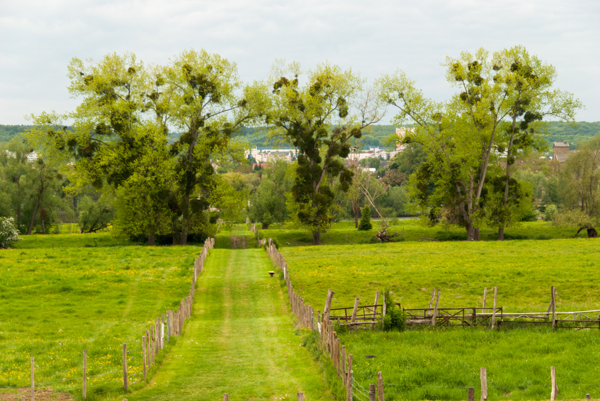 Giverny