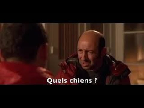 Les chiens