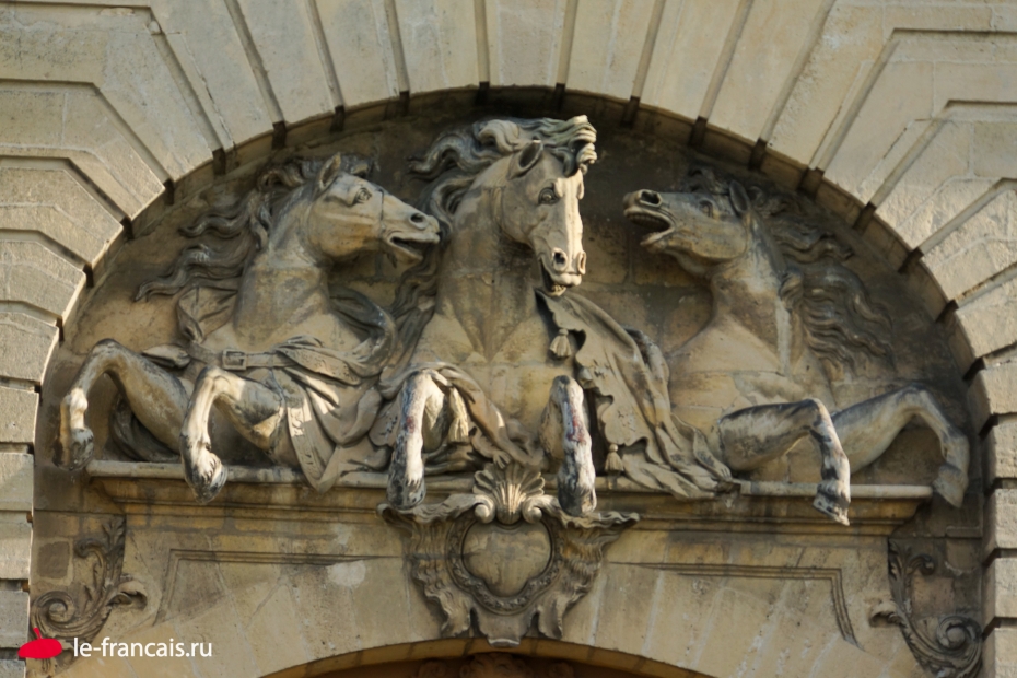 И вот лошади. Фото: Илья Думов, le-francais.ru
