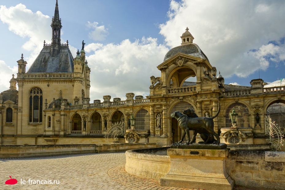 Вот и собаки при входе. Фото: Илья Думов, le-francais.ru