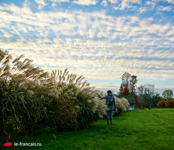 Жена фотографа. Фото: Илья Думов, le-francais.ru