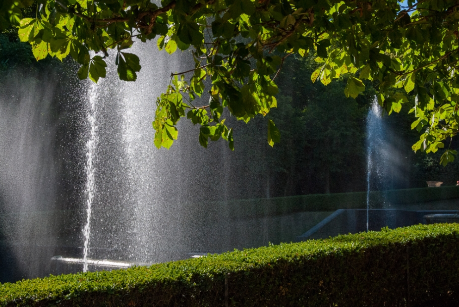 Фото: Илья Думов